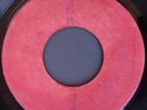 BLANK LORD CREATOR THE LIZARD 45 RARE JAMAICA 1969