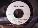 THE QUESTS ''SHADOWS IN THE NIGHT'' rare GARAGE  ' 45 '