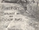 Swaunee Water and Cocaine Blues Abner Jay