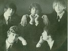 THE BYRDS Mr. Tambourine Man  RARE Picture Sleeve & 45