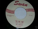 THE BEATLES SHE LOVES YOU RED & WITE LABEL 4152 MINT 45