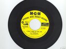 I  Don't  Want To Lose You The Charades   NORTHERN SOUL