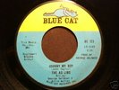 Northern Soul 45 THE AD LIBS on BLUE CAT Johnny My Boy