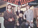 SUPERFINE DANDELION 1967 psych Mainstream MONO PROMO