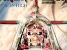 IRON MAIDEN 12