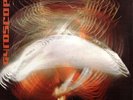 GORDON BECK..Gyroscope..Morgan Label..Plays SUPERB