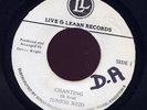 Junior Reid Chanting rare JA Live & Learn 45 Listen