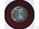 MUDHONEY 1st 45 Sub Pop 18 brown-red vinyl RARE