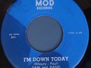 DRONES I'M DOWN TODAY RARE GARAGE PSYCH PUNK 45