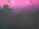 Arcturus Constellation mlp '97 NAP Ulver Emperor Mayhem