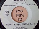 DAVID BOWIE - Memory Of A Free Festival  -  MERCURY  45