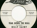 TEEN - BILLY SAINT - TEAR  DOWN THE WALL DORE DJ - HEAR