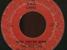 Washington D.C. Garage 45-THE BARONS  HEAR IT