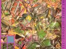 THE STONE ROSES\IAN BROWN - SO YOUNG 12