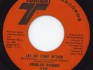 RENALDO DOMINO let me come within Twinight funk 45