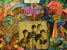 FLAT EARTH SOCIETY  Waleeco Classic PSYCH Fleetwood