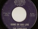 RARE NORTHERN SOUL - THE FABULOUS JADES - RIKA 
