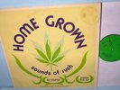 ESPER : Home Grown (Pot 101) 1975 Private Electronic LP