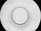 LEE PERRY PUSSY GALORE / BLANK UNKNOWN STUDIO 1 LISTEN