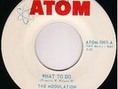 60's TEXAS Garage 45 - MODULATION  CORPORATION   HEAR 
