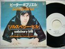 PETER GABRIEL SOLSBURY HILL JAPAN 45 PS PROMO GENESIS