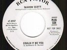 Northern Soul COULD IT BE YOU Sharon Scott  DJ Copy VG+