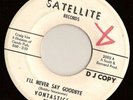 RARE NORTHERN SOUL - VONTASTICS - SATELLITE - W/D 
