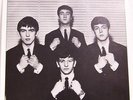 Beatles Leave My Kitten Alone  - USA SLEEVE ONLY -  RARE