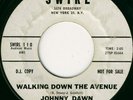 RARE TEEN - JOHNNY DAWN - WALKING DOWN THE AVENUE -HEAR