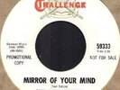 WE THE PEOPLE mirror of your mind 1966 garage 45 PROMO