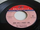 NORTHERN SOUL THE MAGICTONES WHEELSVILLE how can i ....
