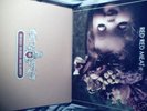 Red Red Meat - 2 vinyl Bunny/Manger Sub Pop punk/blues
