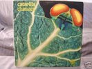 CATAPILLA: CHANGES - UK VERTIGO SWIRL PROGRESSIVE LP