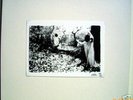 Sunn O))) * White Box * RARE 4 LP * ltd 500  * NEW *