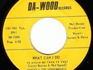 Rare Northern Soul Harvey & the Phenomenals on Da-Wood