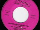 THE CONSTELLATIONS I Don't Know About You GEMINI STAR