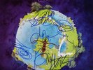 YES *AUTOGRAPHED & MINT Fragile LP BY FIVE* STEVE HOWE