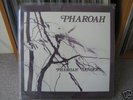 PHAROAH SANDERS - PHAROAH SANDERS (INDIA NAVIGATION)