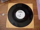 Undead & Times Square Split Acetate Signed Misfits