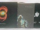 GRUNGE ROCK LP PEARL JAM 