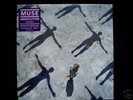 Muse 