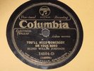 The Americans:Rare BLACK 20s BLIND WILLIE JOHNSON 78