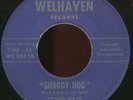 MINNESOTA Garage 45 STING RAYS Shaggy Dog WELHAVEN