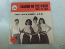 SHANGRI LAS  LEADER OF THE PACK  GIRLGROUP
