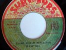 SURVIVORS THIRD WORLD REBELLION 45 ON SURVIVORS RARE