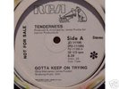 Tenderness..Gotta Keep on Trying..Rare disco on RCA