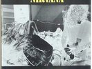 NIRVANA - BLEACH -12