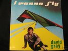 David Gray - I Wanna Fly   italo