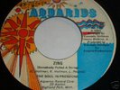 The Soul In Pressions AQUARIUS Zing 45 DETROIT Listen