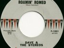 RARE TEEN DOO-WOP - DAVE & STEREOS - ROMIN' ROMEO -HEAR